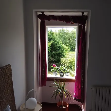 Lar A Rola El Precio X Noche Es Dia Y Medio Check In 9am Out 21pm Sabucedo